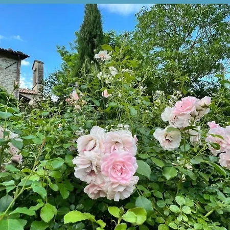 Borgo Spescia -la Giustiniano- Piscina Parco Relax بيت ضيافة سانتا صوفيا